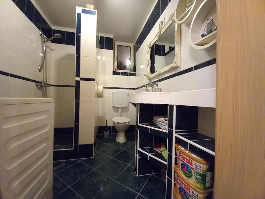 Nice Apartment Near By Capital Of Slovenia Ljubljana Exterior photo